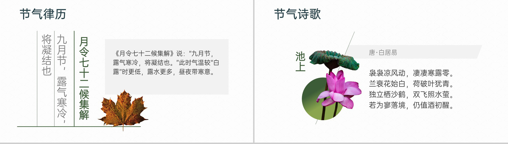 浅棕简约风中国传统节气之寒露气候特征介绍PPT模板-3