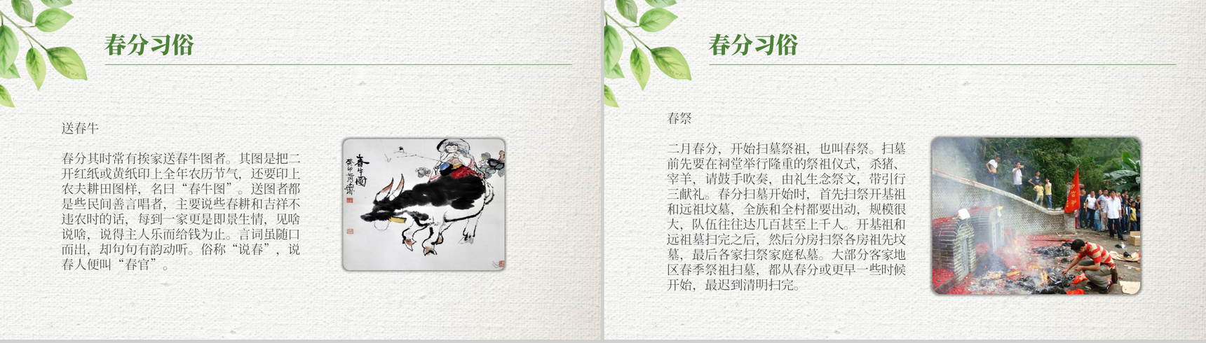 绿色清新简约春分节气材料收集PPT模板-5
