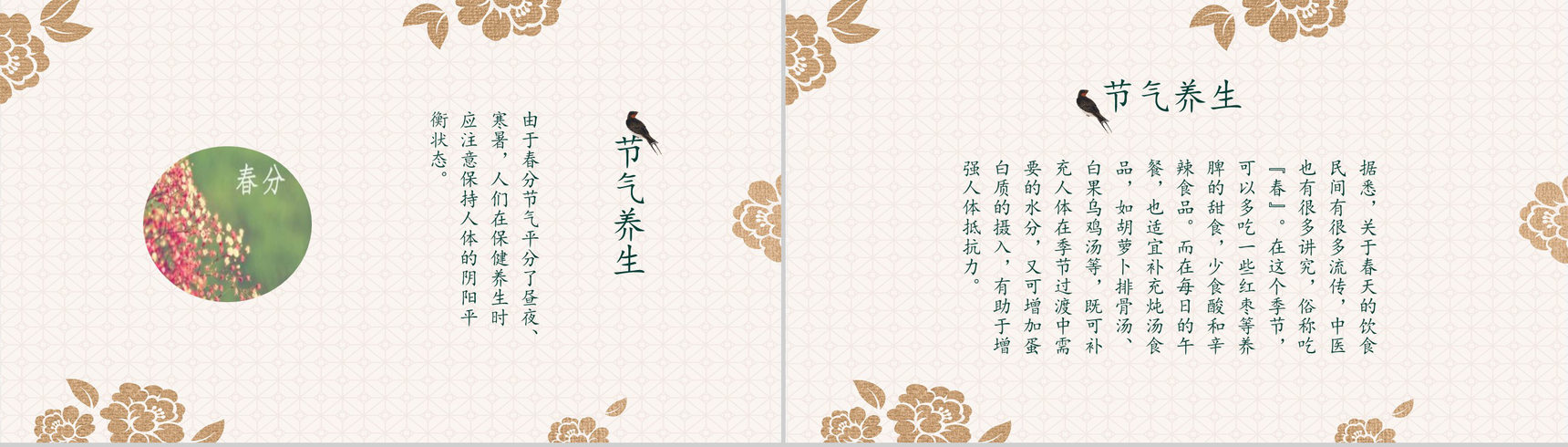 春暖花开春分节气节日庆典PPT模板-5