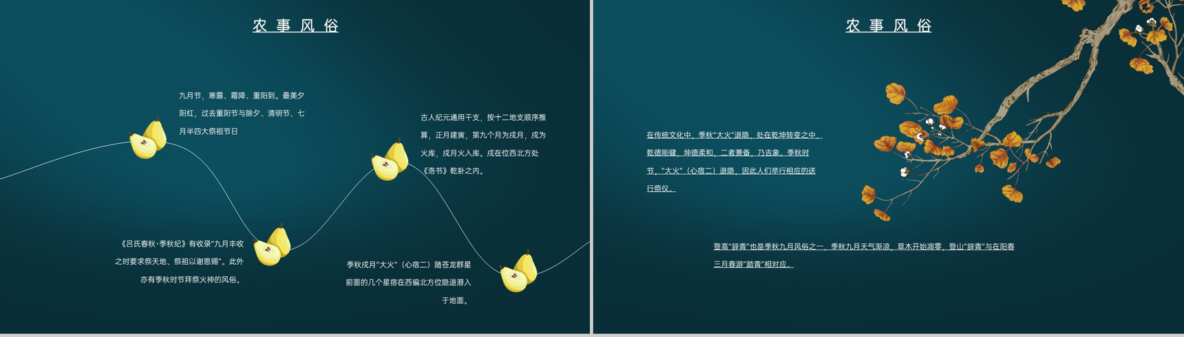 蓝色中国风传统节气介绍之寒露的物候特征PPT模板-10