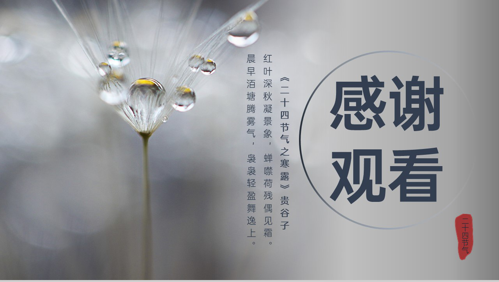 灰色创意简约风二十四节气寒露历史渊源介绍PPT模板-9