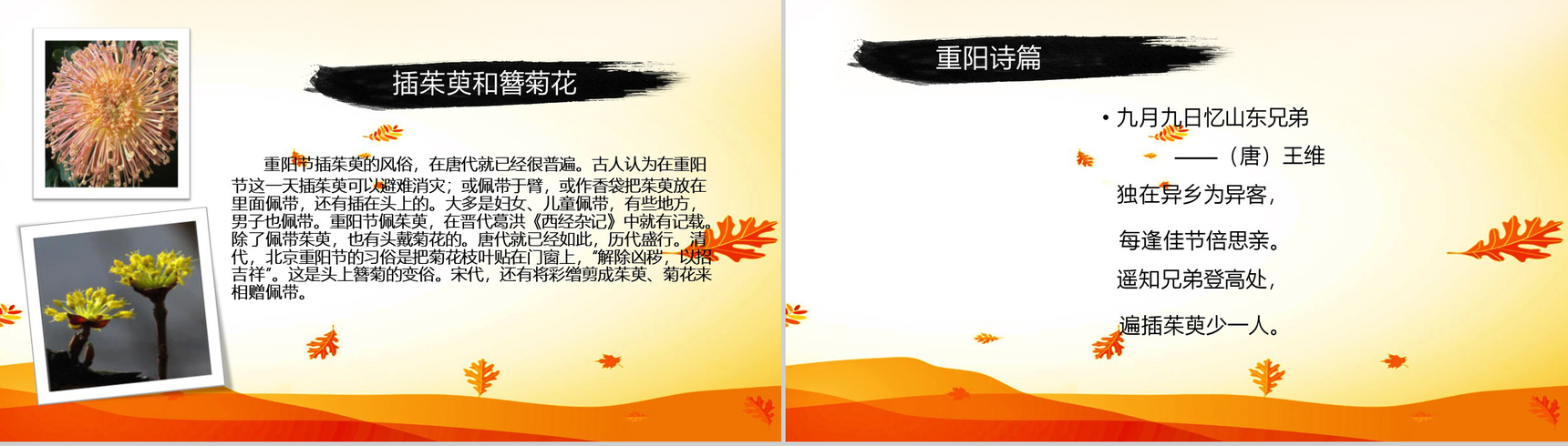 大气动态九九重阳登高佳节关爱老人活动PPT模板-6