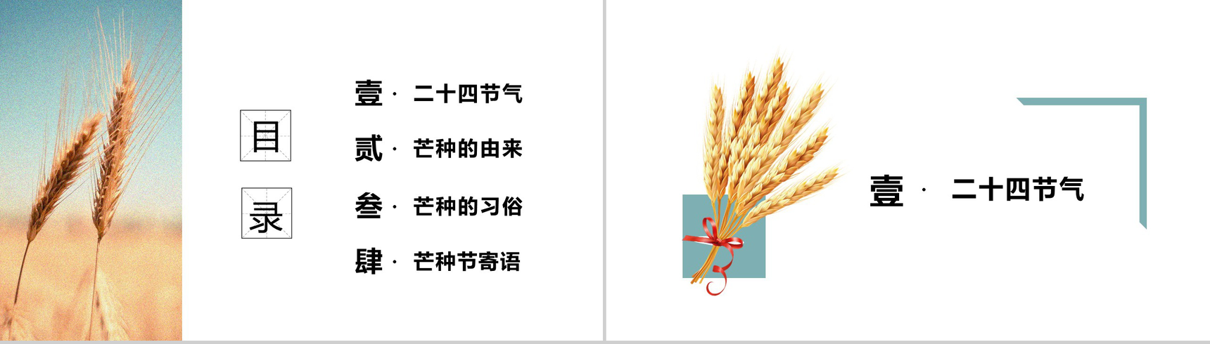 传统二十四节气之芒种PPT模板-2