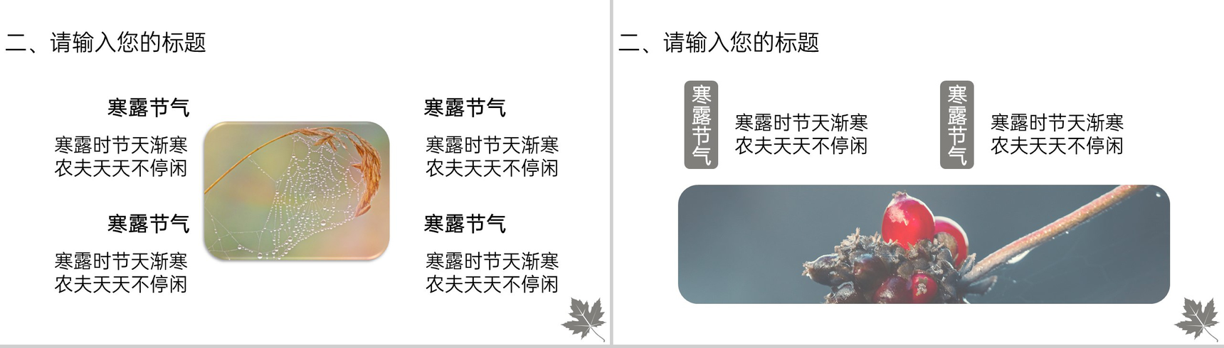 灰色简约风传统节气寒露主题工作汇报总结PPT模板-5