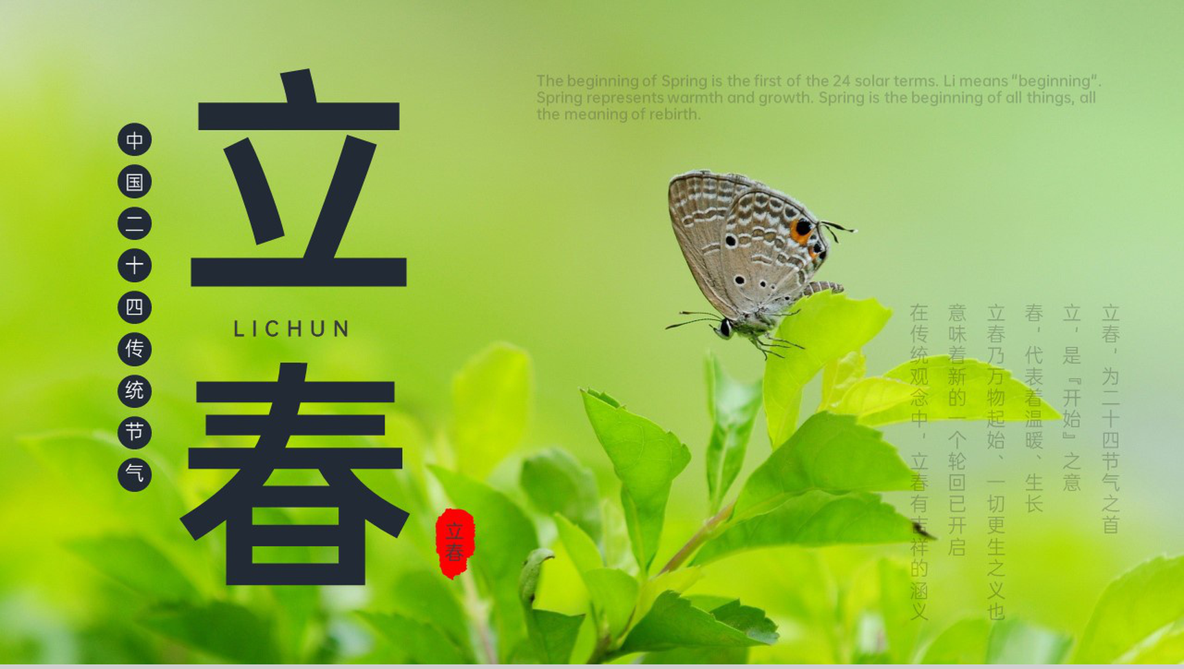 绿色简约风立春节气传统文化介绍PPT模板