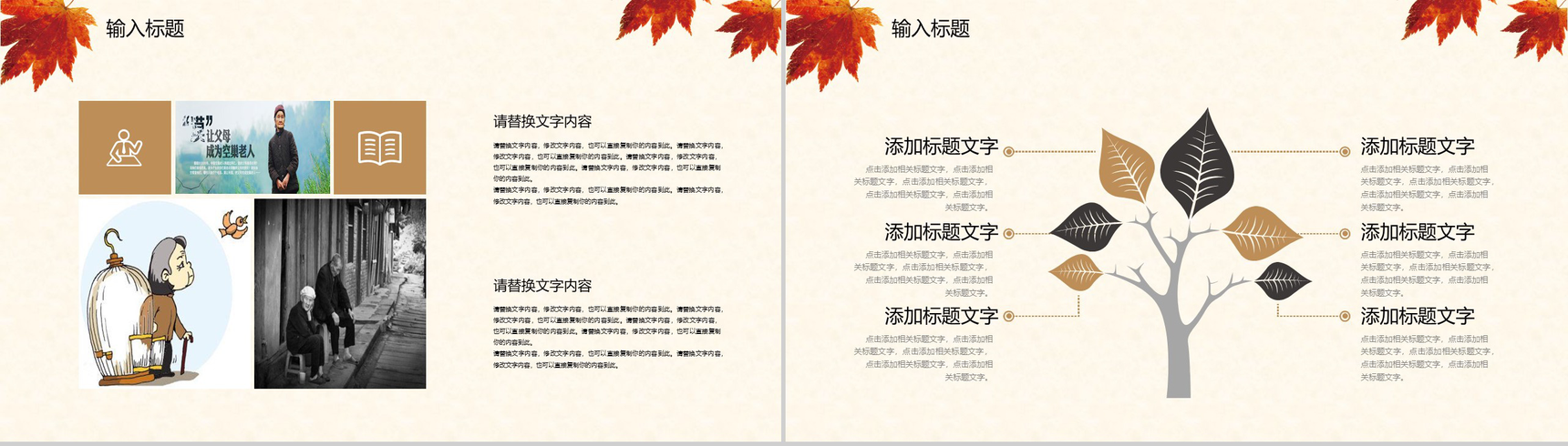 简约商务关爱空巢老人社会福利活动策划PPT模板-10