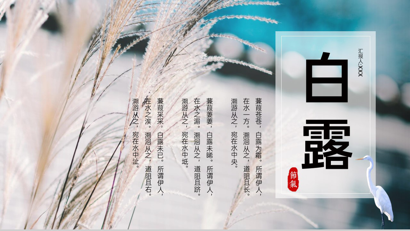 青色简约风中国传统节气白露介绍文化习俗科普PPT模板-1