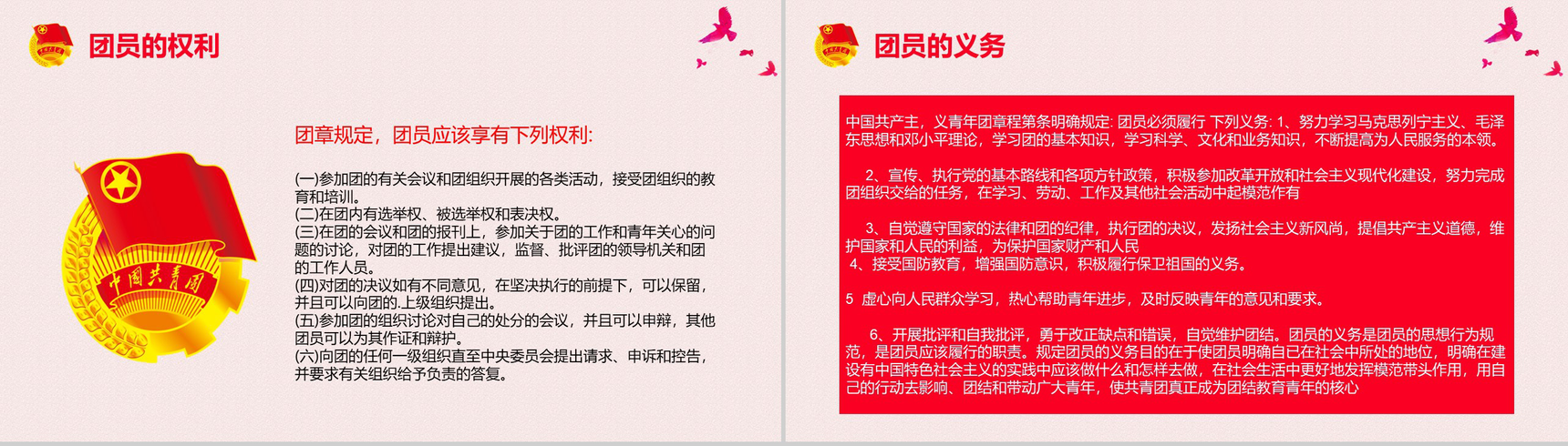 庄严大气共青团团组织团日活动PPT模板-9