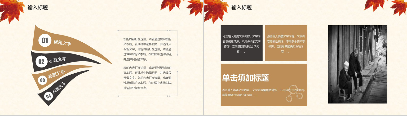 简约商务关爱空巢老人社会福利活动策划PPT模板-4