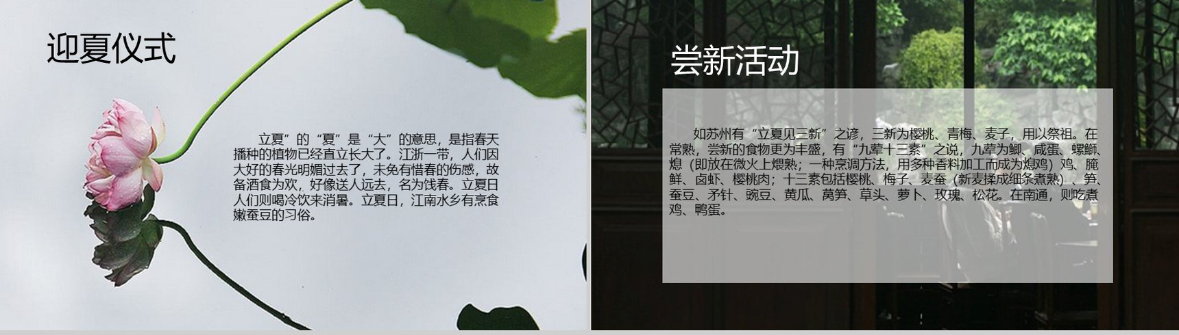 蓝色清新向日葵立夏节气教育说课PPT模板-6