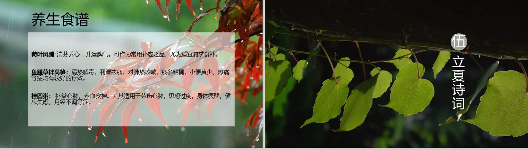 蓝色清新向日葵立夏节气教育说课PPT模板-9