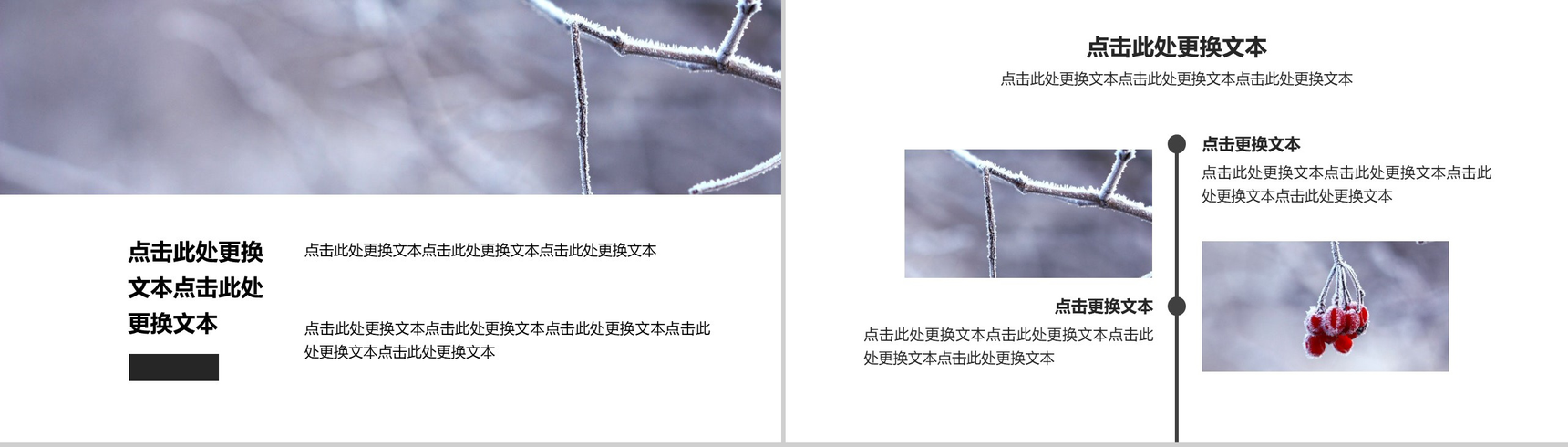 时尚精美冬季节气冬至PPT模板-3