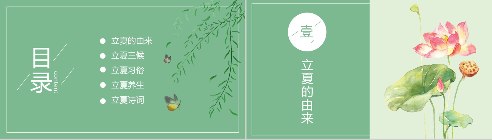 清新荷花绽放二十四节气立夏PPT模板-2