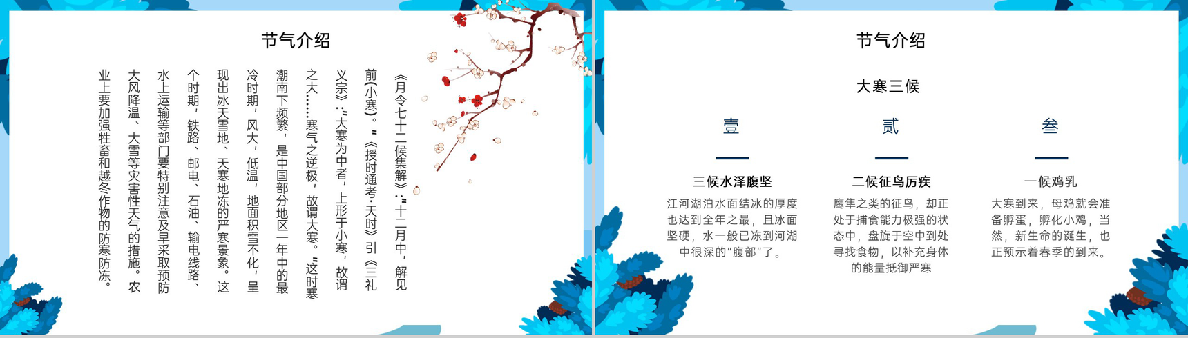 蓝色小清新风二十四节气大寒节气饮食介绍PPT模板-3