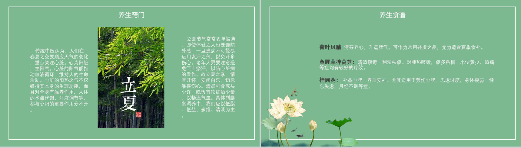 清新荷花绽放二十四节气立夏PPT模板-9