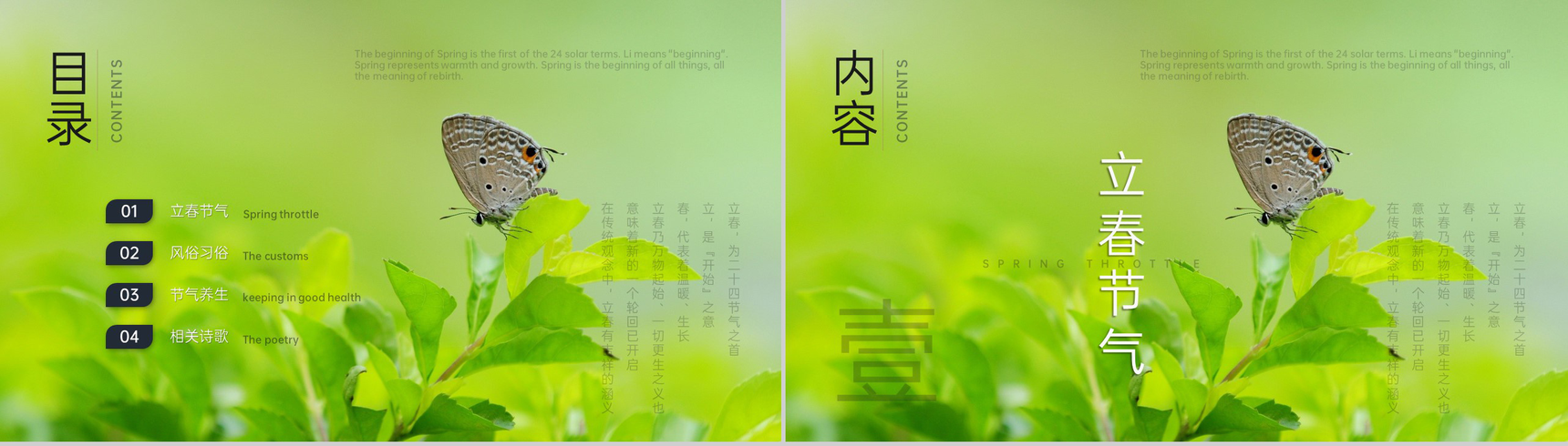 绿色简约风立春节气传统文化介绍PPT模板-2