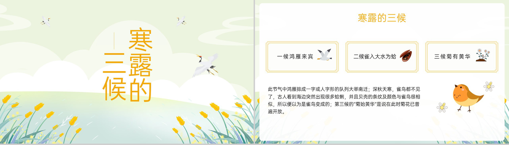 黄色小清新二十四节气寒露节气介绍寒露的三候PPT模板-4