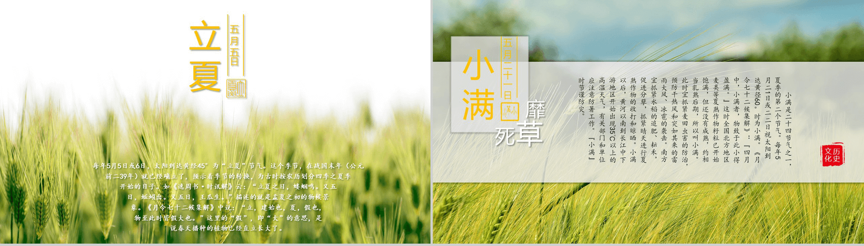 简约中国风动态二十四节气介绍PPT模板-5