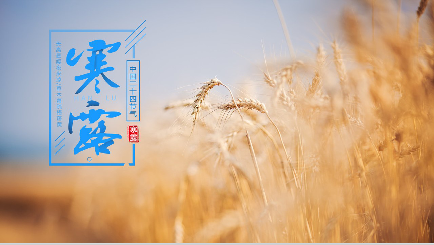 白色简约传统二十四节气寒露主题汇报PPT模板-1