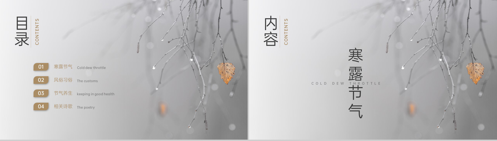 灰色简约中国风二十四节气寒露节气文化介绍PPT模板-2