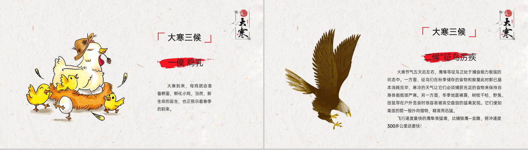红色中国风二十四节气大寒美食介绍PPT模板-4