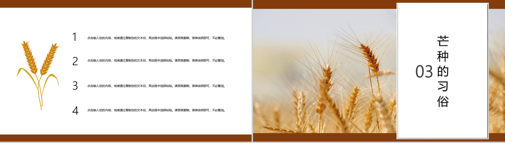 白色简约风芒种习俗介绍PPT模板-6