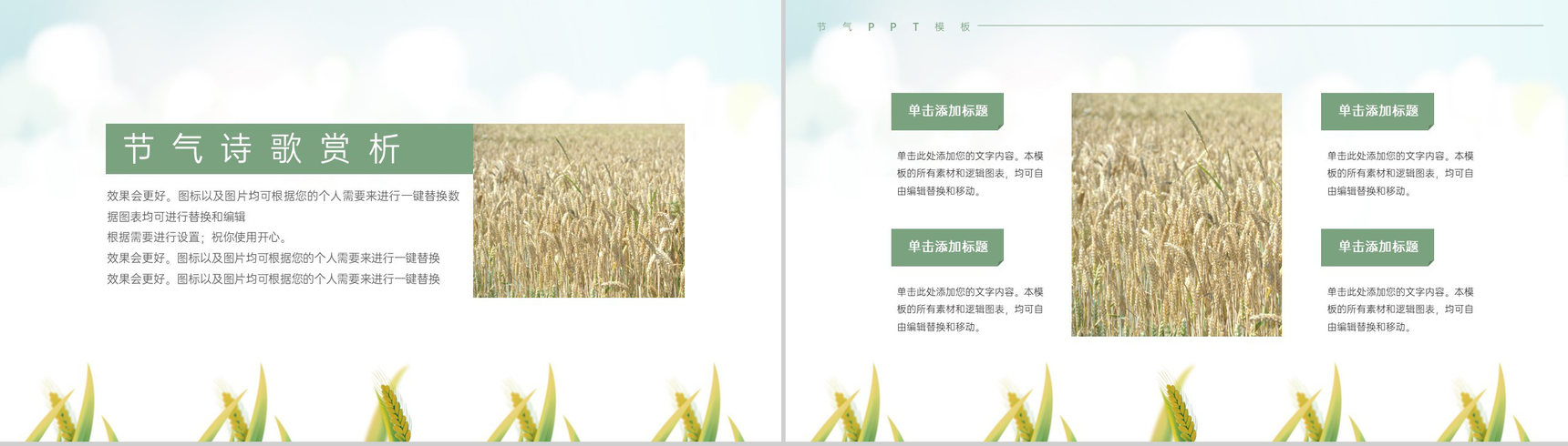 浅绿色简约风麦穗收获二十四节气夏至介绍由来PPT模板-8