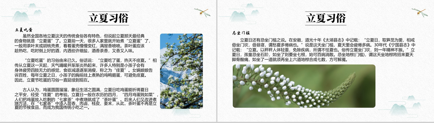 白色简约中国风传统节气立夏节日介绍PPT模板-5