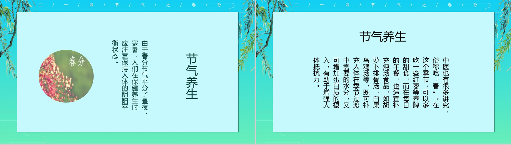 二十四节气春分传统节气PPT模板-5