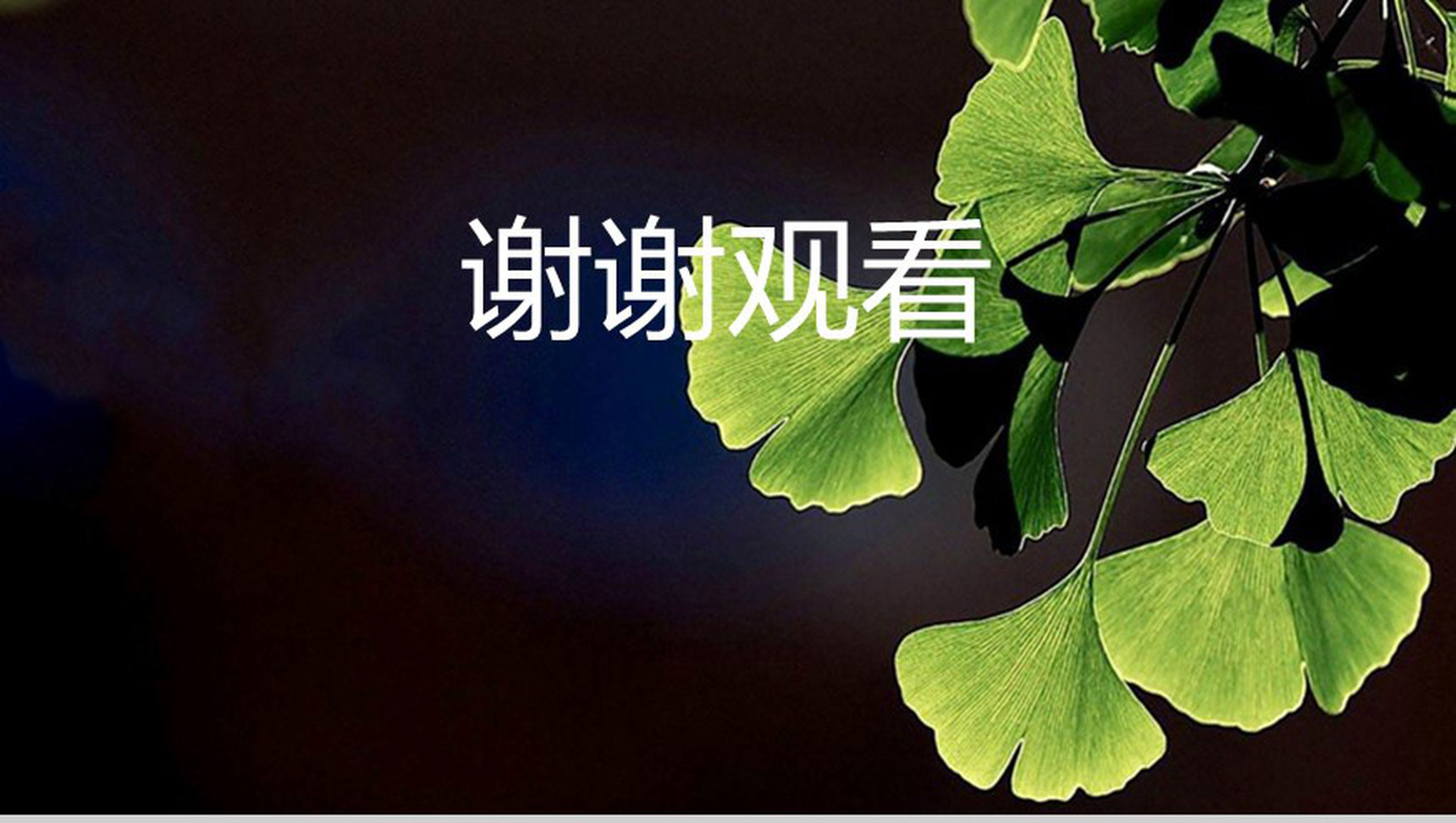 蓝色清新向日葵立夏节气教育说课PPT模板-11
