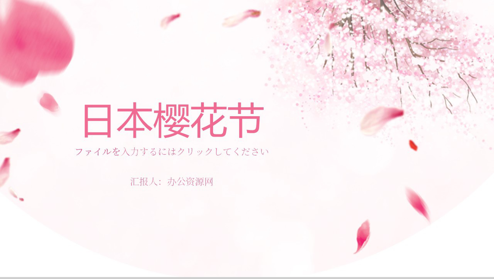 粉色清新淡雅日本樱花节樱花典故PPT模板-1