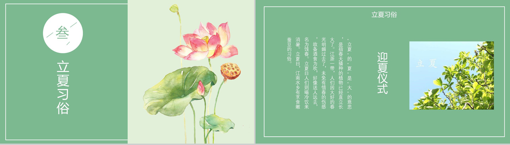 清新荷花绽放二十四节气立夏PPT模板-6
