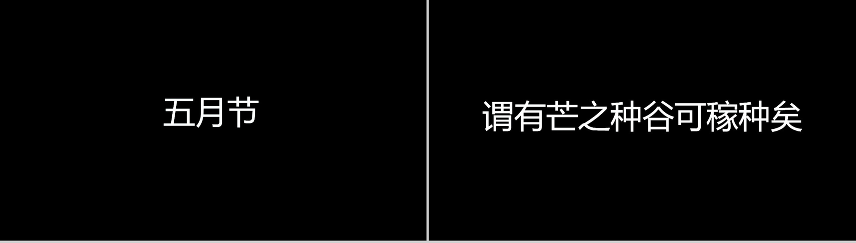 个性简约抖音快闪二十四节气芒种介绍PPT模板-10