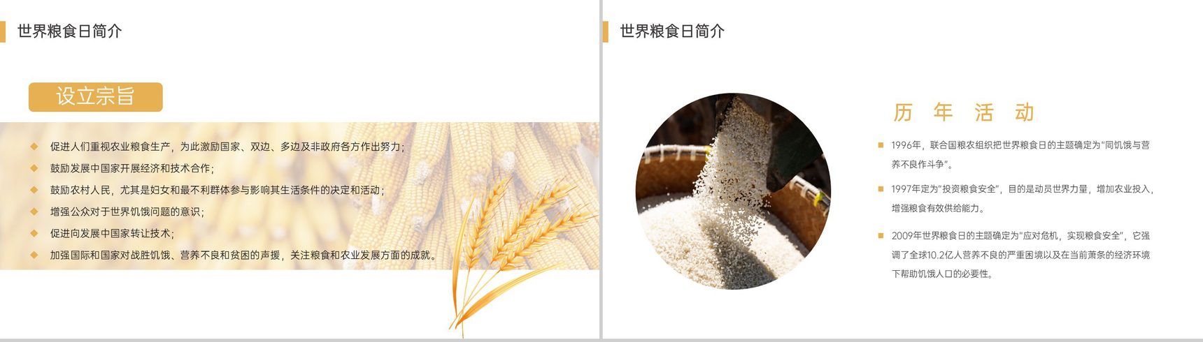 白色简约珍惜粮食人人有责世界粮食日宣传教育活动PPT模板-5