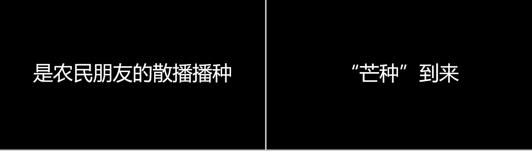 个性简约抖音快闪二十四节气芒种介绍PPT模板-18