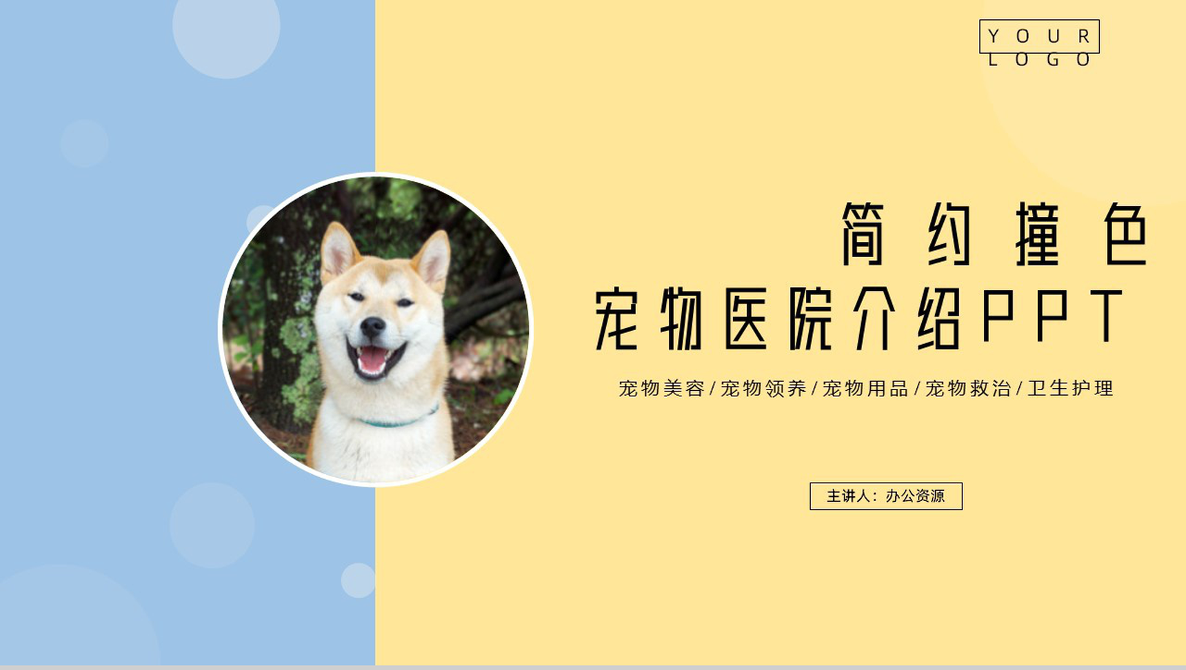 简约撞色宠物医院介绍PPT模板
