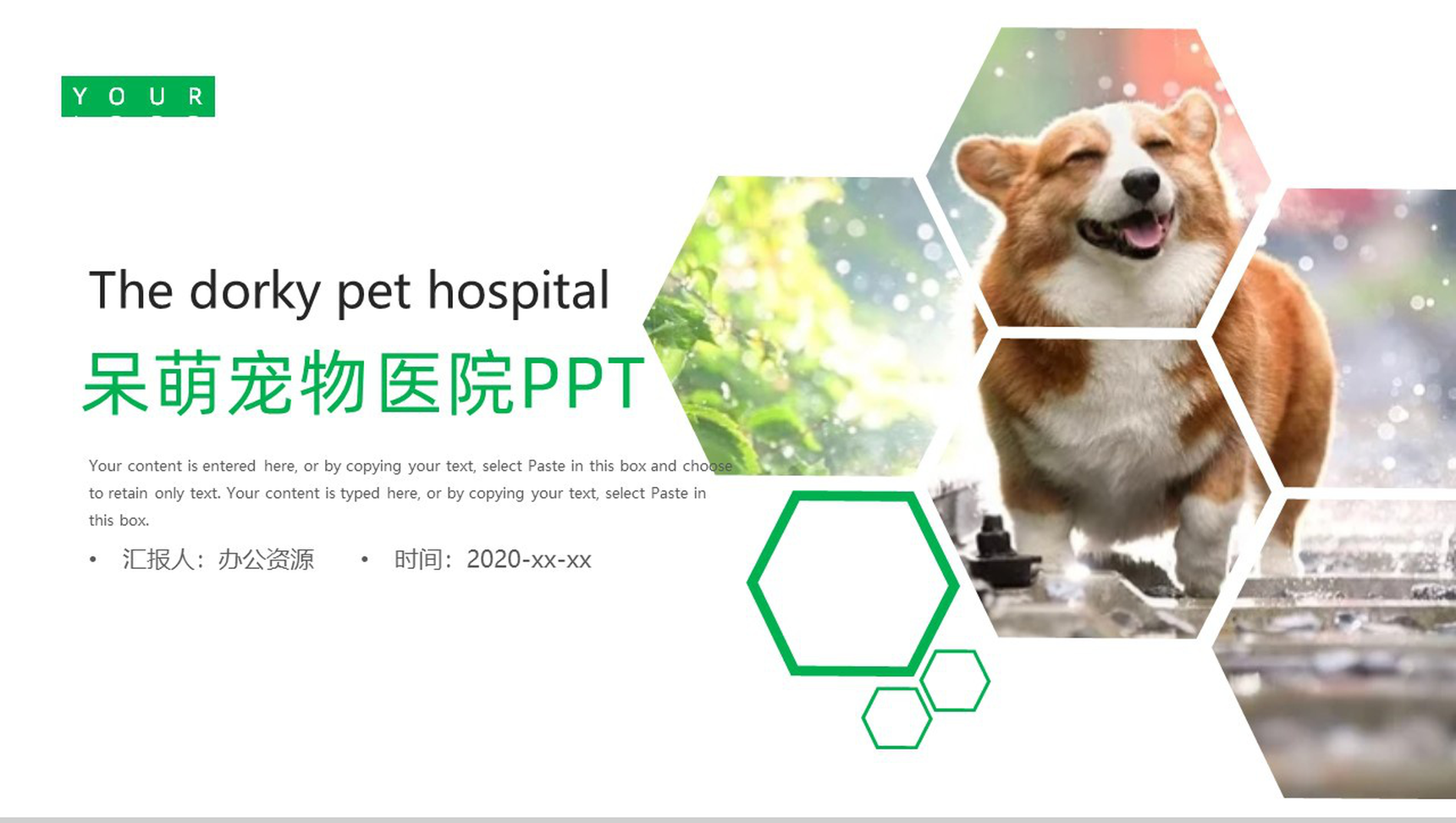 可爱呆萌宠物医院介绍PPT模板