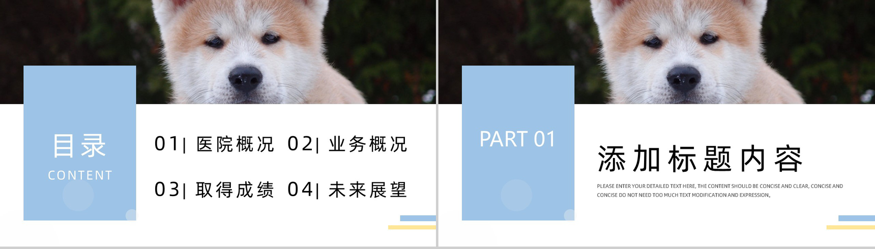 简约撞色宠物医院介绍PPT模板-2