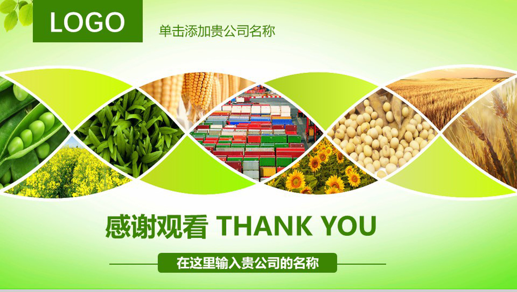 农业生产种植动态PPT模板-13
