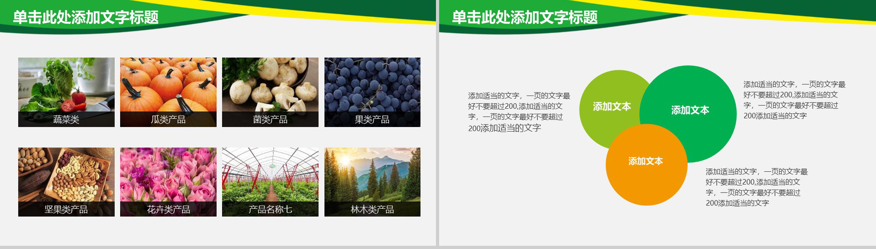 农业水稻玉米小麦农产品推广PPT模板-7