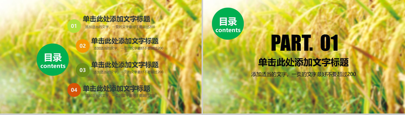 农业水稻玉米小麦农产品推广PPT模板-2