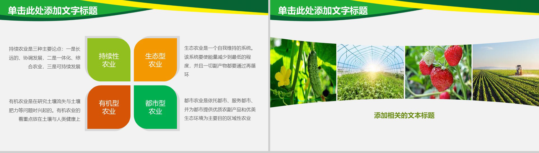 农业水稻玉米小麦农产品推广PPT模板-3
