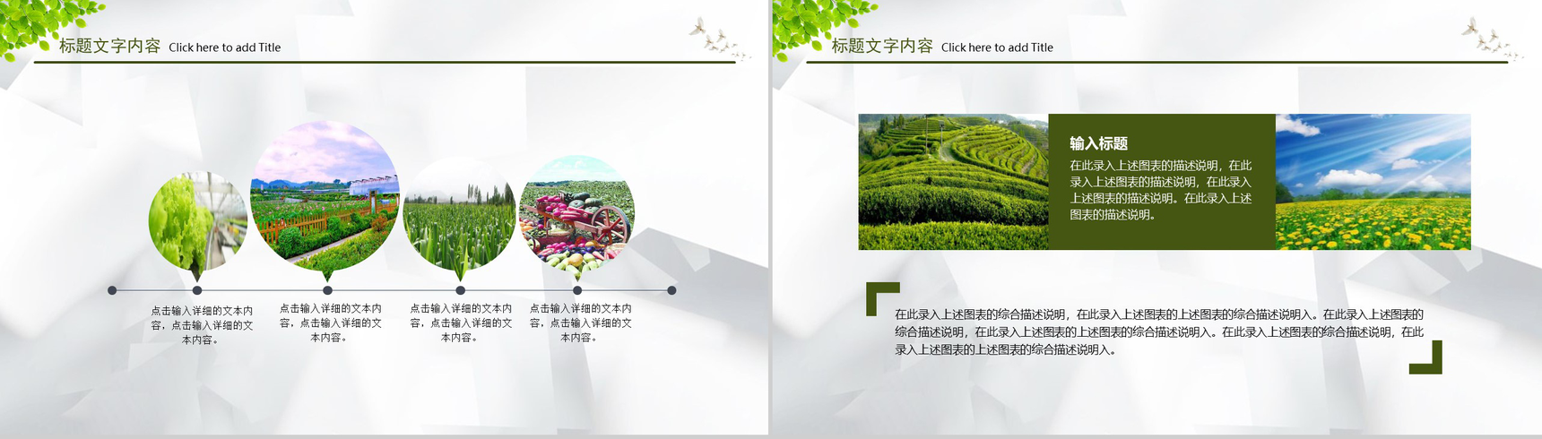 绿色农业生产种植产品介绍PPT模板-12