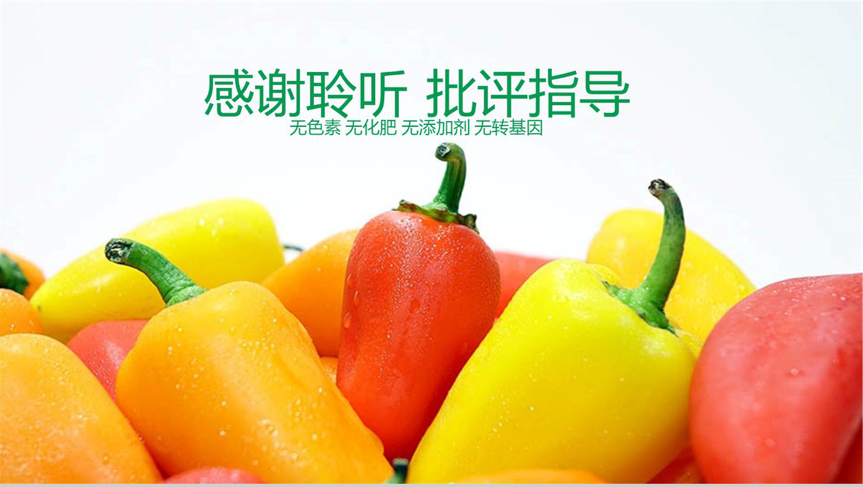 绿色有机蔬菜农产品PPT模板-13
