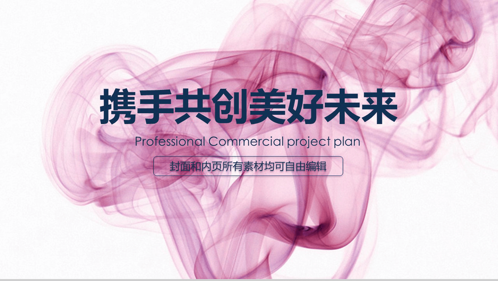 公司商业项目计划书PPT模板-12