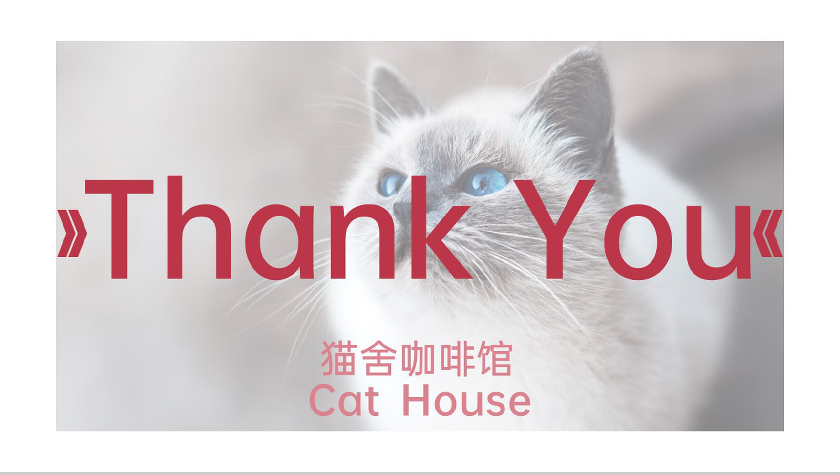 粉色简约风猫舍咖啡馆创业招商计划书PPT模板-13