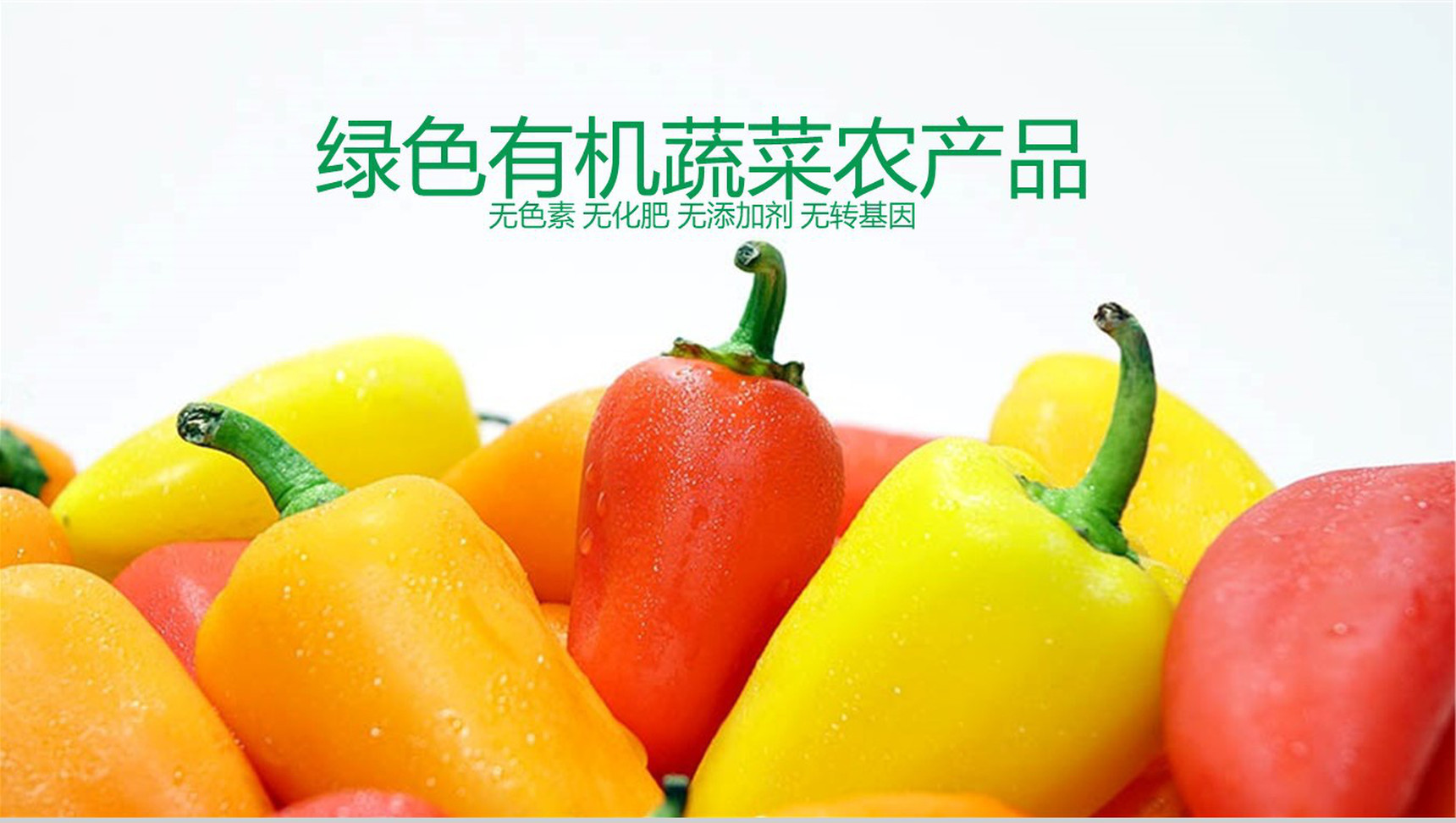 绿色有机蔬菜农产品PPT模板-1