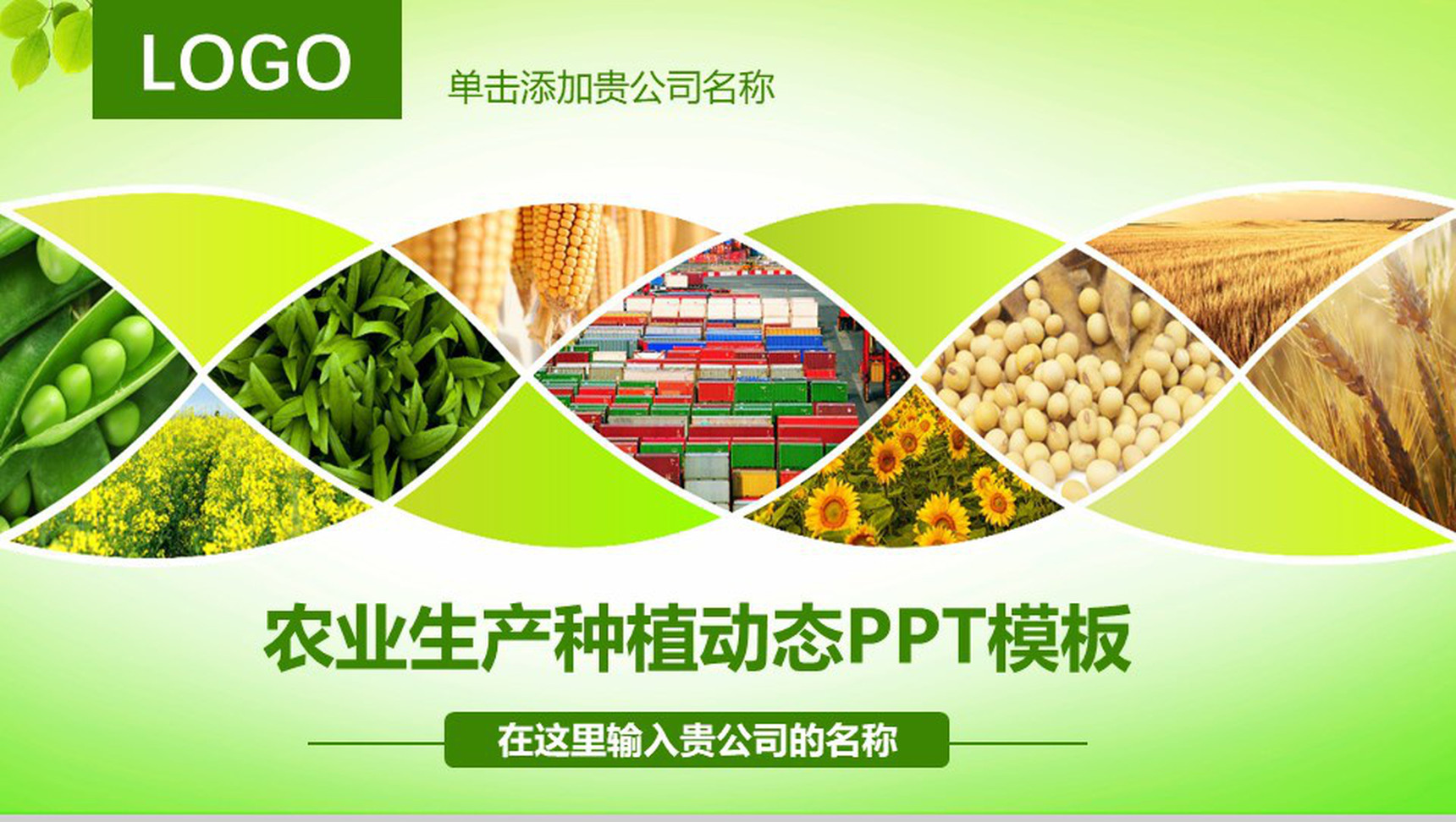 农业生产种植动态PPT模板-1