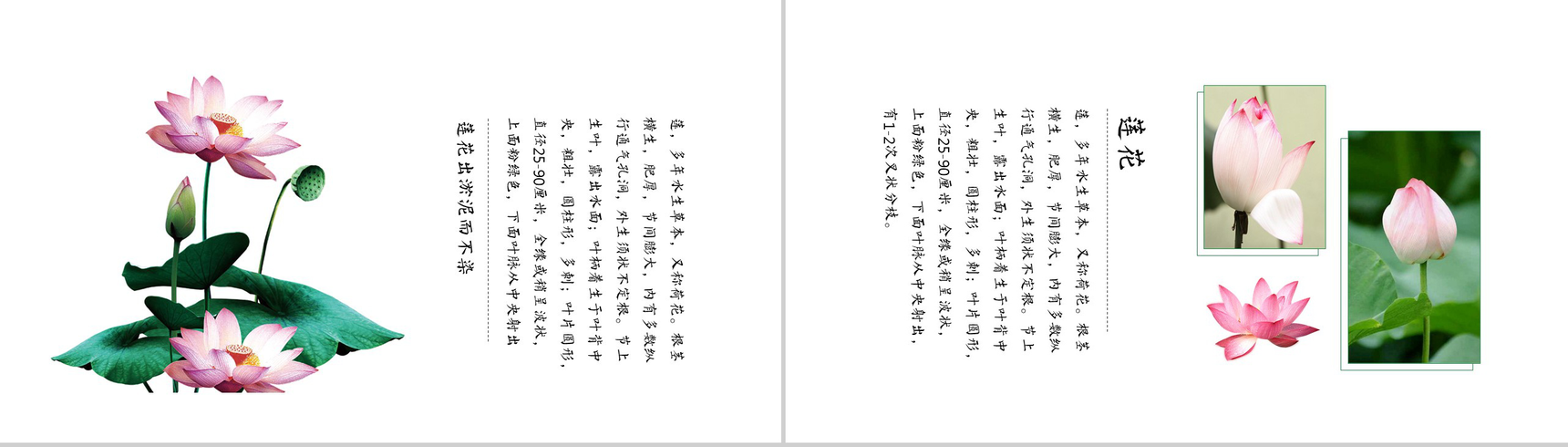 中国风清新商务商业计划书PPT模板-5