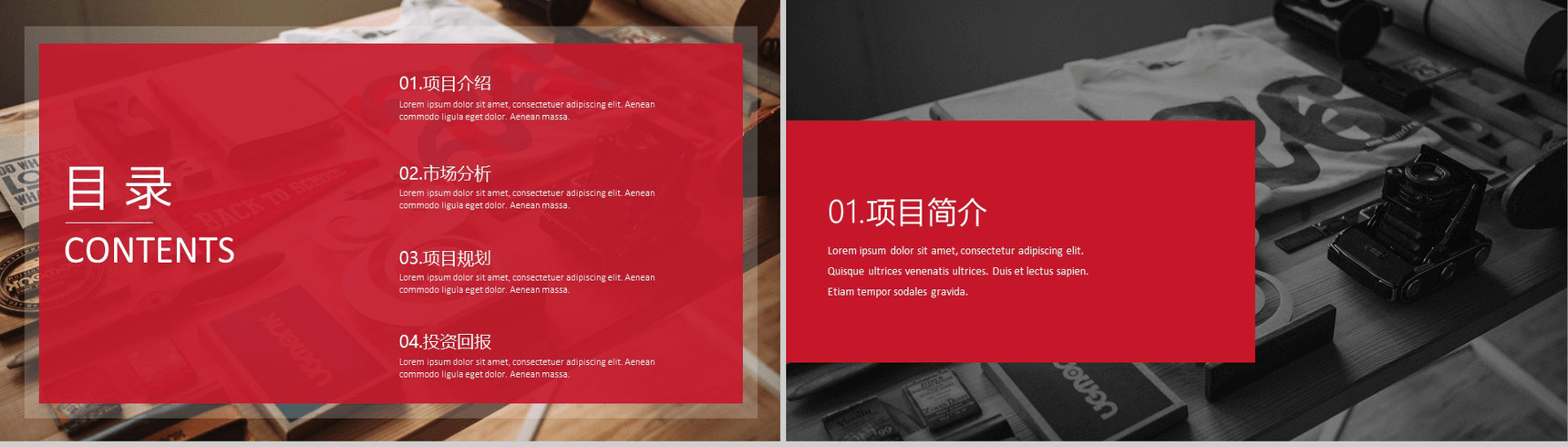 20XX欧美商务计划书计划总结PPT模板-2